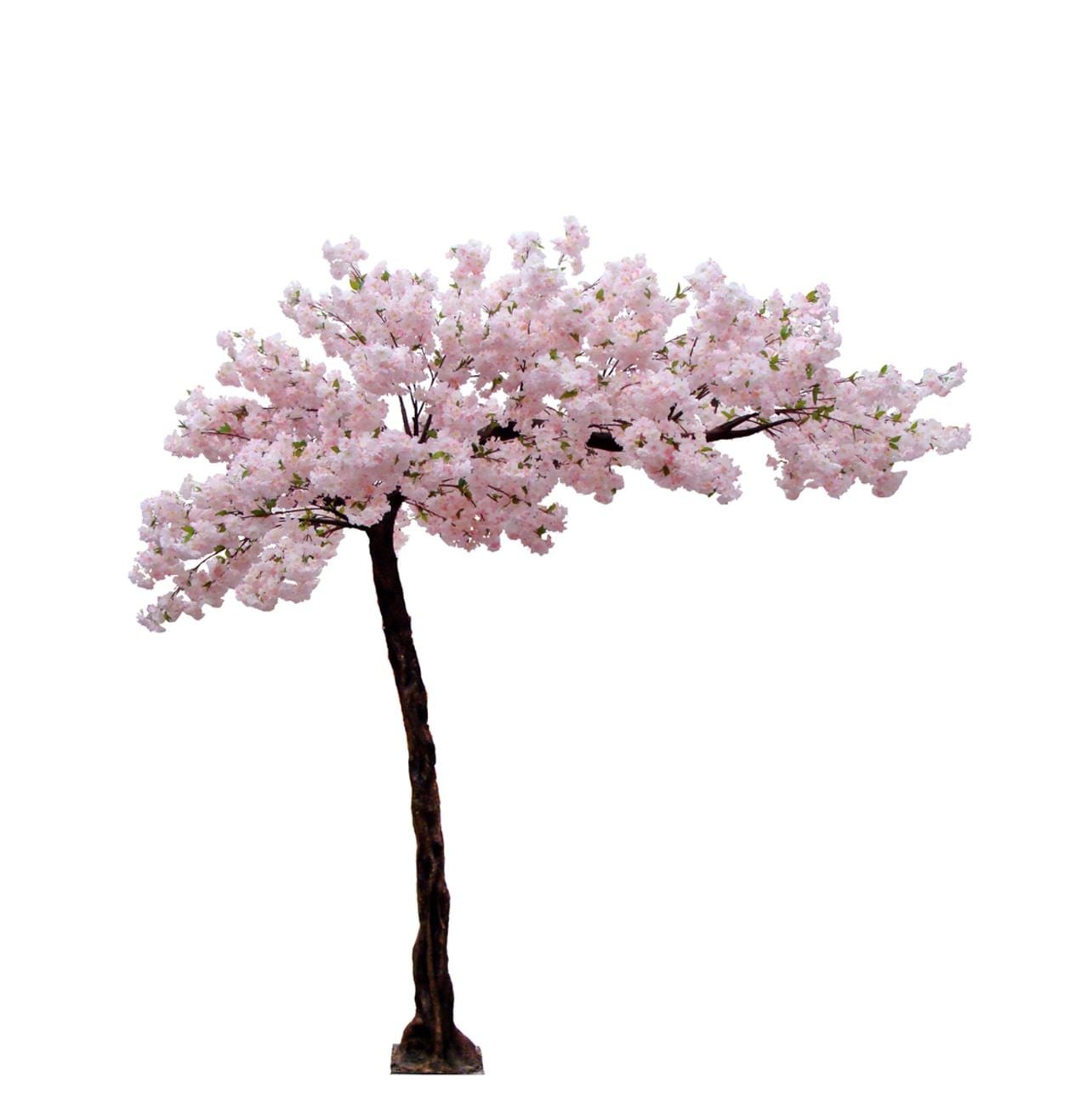 Cherry Blossom Tree – 10.5FT – Whispering